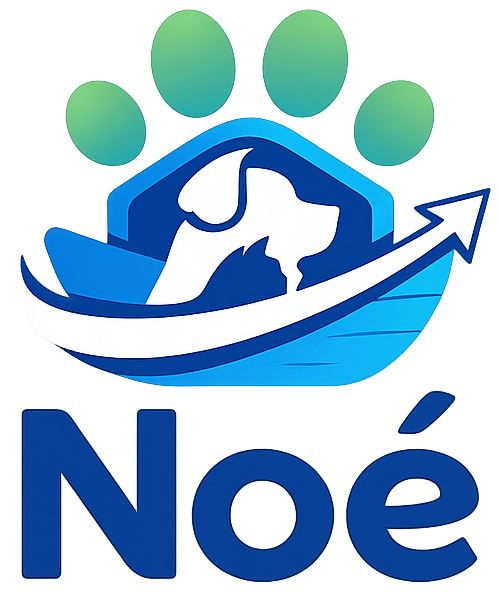 Noé